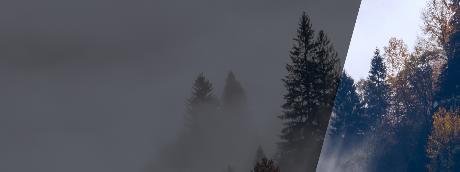 cloud-data-warehouses-guide-LPbanner.png cloud-data-warehouses-guide-LPbanner.png